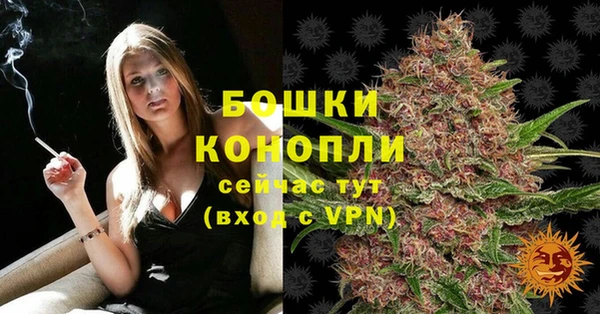 молекула духа Тында