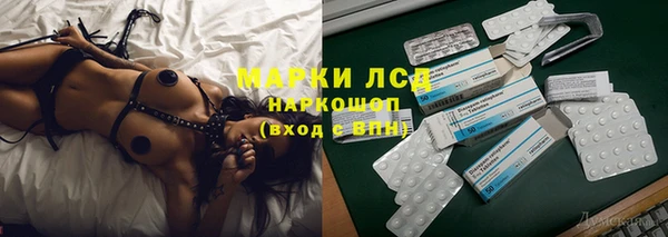 индика Туринск