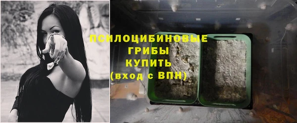 синтетический гашиш Новодвинск