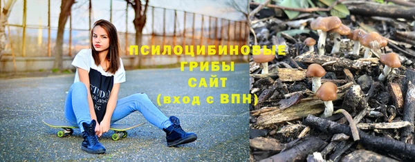 spice Няндома
