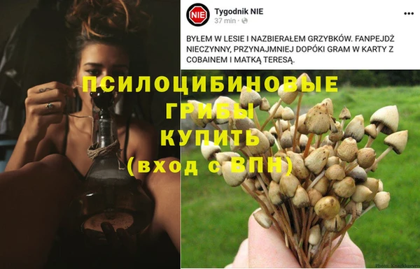 гашик Нязепетровск