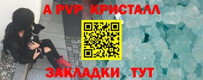 шишки Бузулук