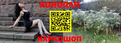 шишки Бузулук