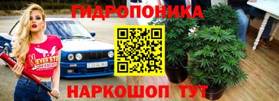 шишки Бузулук
