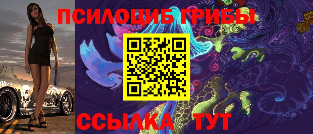 Галлюциногенные грибы Psilocybine cubensis Курганинск